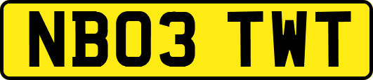 NB03TWT