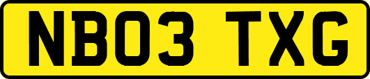 NB03TXG