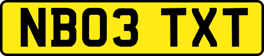 NB03TXT