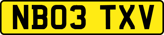 NB03TXV