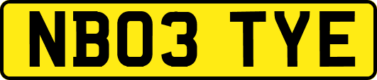 NB03TYE