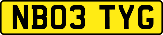 NB03TYG