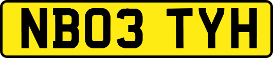 NB03TYH