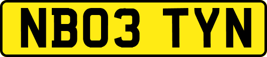 NB03TYN