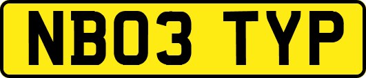 NB03TYP
