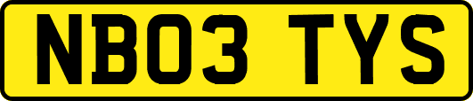 NB03TYS