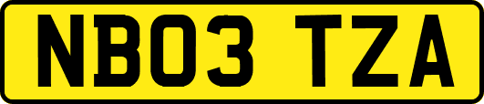 NB03TZA