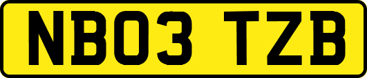 NB03TZB