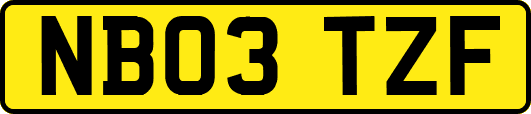 NB03TZF