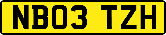 NB03TZH