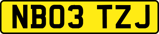 NB03TZJ