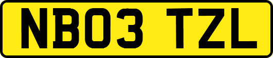 NB03TZL