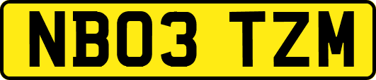 NB03TZM