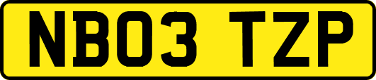 NB03TZP