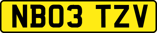 NB03TZV