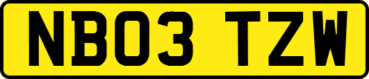 NB03TZW