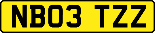NB03TZZ