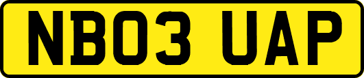 NB03UAP