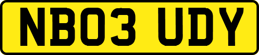 NB03UDY