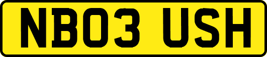 NB03USH