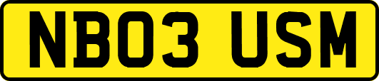 NB03USM