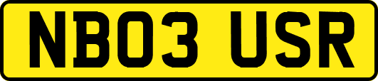 NB03USR