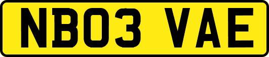 NB03VAE