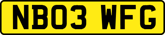 NB03WFG