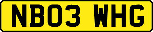 NB03WHG