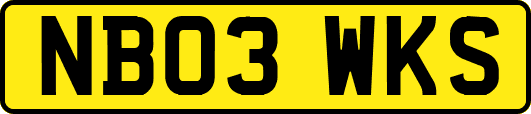 NB03WKS