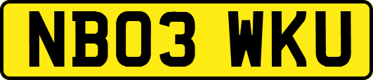 NB03WKU