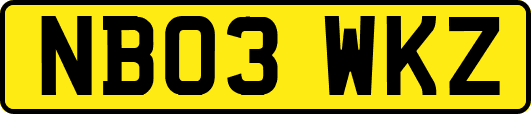 NB03WKZ