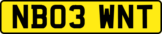 NB03WNT