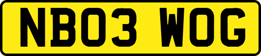 NB03WOG