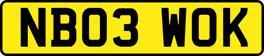 NB03WOK