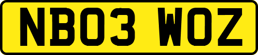 NB03WOZ