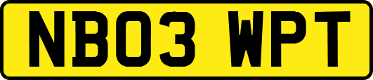 NB03WPT