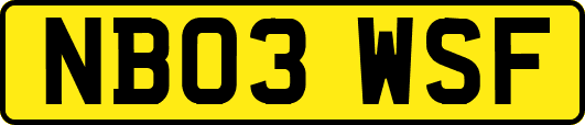 NB03WSF
