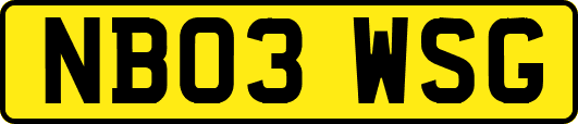 NB03WSG