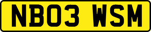 NB03WSM
