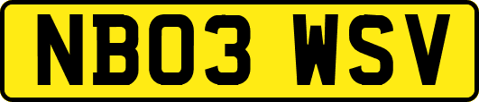 NB03WSV