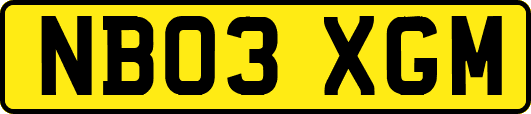 NB03XGM