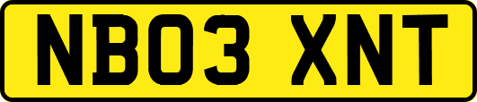 NB03XNT