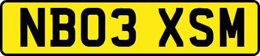 NB03XSM