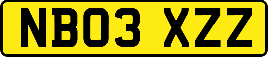 NB03XZZ