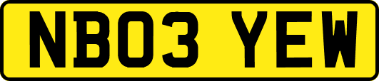 NB03YEW