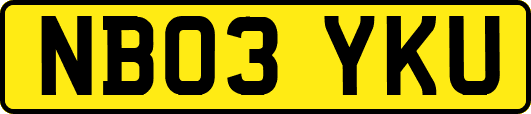 NB03YKU