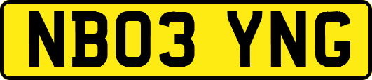 NB03YNG