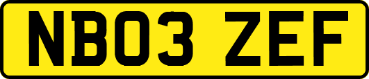 NB03ZEF