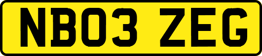 NB03ZEG